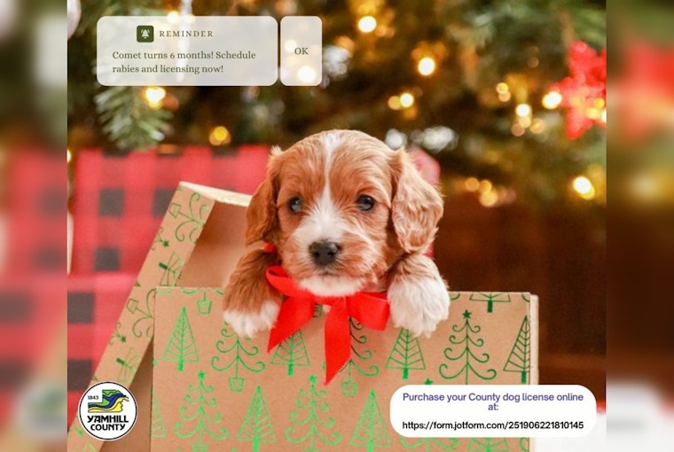 Yamhill County Sheriff's Office Urges New Dog Owners to License Their Pets Online