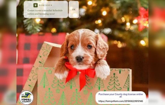 Yamhill County Sheriff's Office Urges New Dog Owners to License Their Pets Online