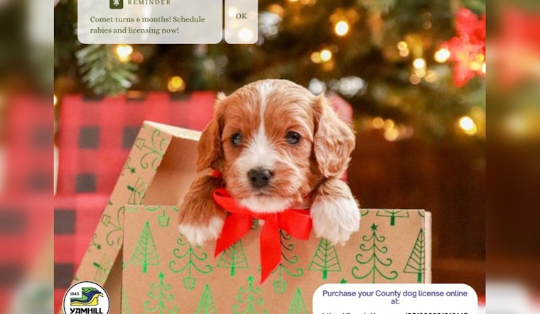 Yamhill County Sheriff's Office Urges New Dog Owners to License Their Pets Online
