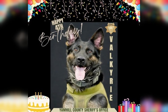 Yamhill County Sheriff's K9 Valk Celebrates 4th Birthday; Lauded for Dedication to Public Safety
