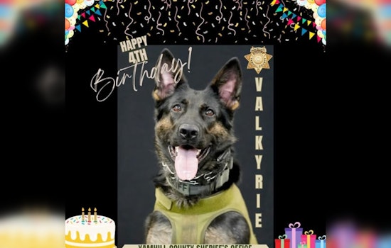 Yamhill County Sheriff's K9 Valk Celebrates 4th Birthday; Lauded for Dedication to Public Safety