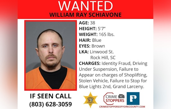 York County Sheriff's Office Seeks Public Help in Locating Suspect William Ray Schiavone for Multiple Alleged Crimes