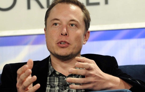 13 States, Led by AG Anne Lopez, Accuse Elon Musk of Unconstitutional Power Play Amidst Trump Administration Scandal