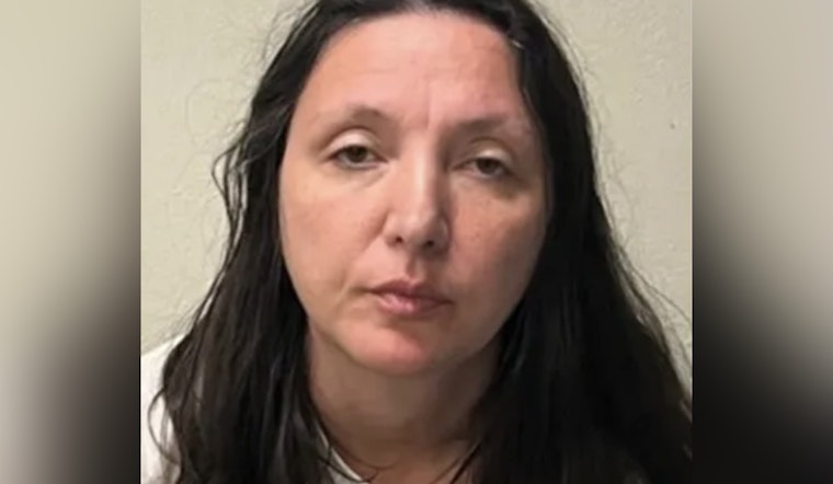71-Year-Old Man Fatally Stabbed in Lake Wales as 49-Year-Old Mihaela Mallen Faces Second-Degree Murder Charge