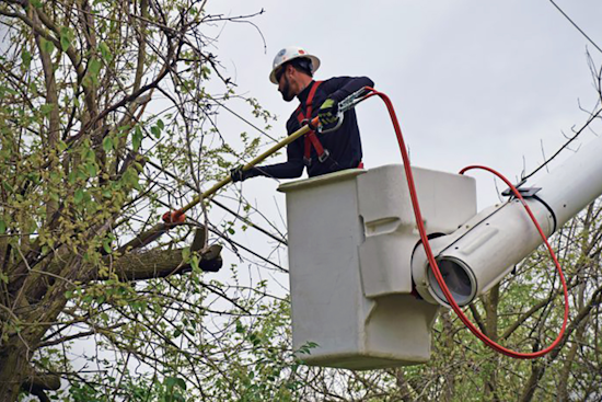 AEP Ohio Launches Tree-Trimming Drive in Dublin to Boost Safety and Reduce Outages