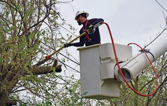 AEP Ohio Launches Tree-Trimming Drive in Dublin to Boost Safety and Reduce Outages