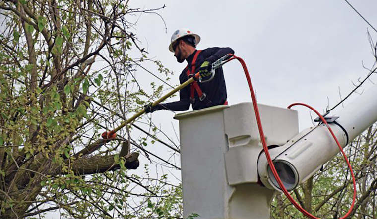 AEP Ohio Launches Tree-Trimming Drive in Dublin to Boost Safety and Reduce Outages