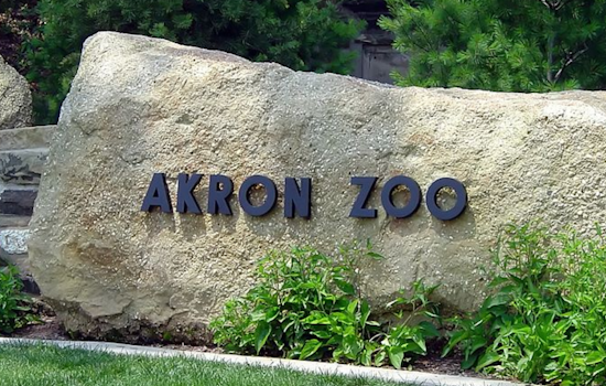 Akron Zoo Hosts Free Inclusion Days to Celebrate National Developmental Disabilities Awareness Month