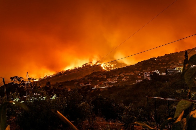 Altadena Child Care Providers Appeal for Extended State Assistance in Wake of Eaton Fire Devastation