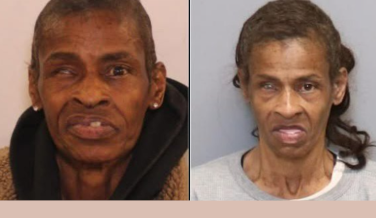 Anne Arundel County Police Seek Public's Help in Finding Missing Brooklyn Park Woman, Ms. Garrinet Marie Hall