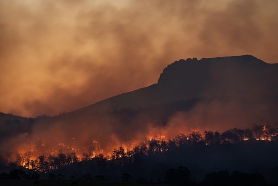 Arizona Rep. Walt Blackman's Wildfire Mitigation Bills Pass Key Committee, Aim to Fortify White Mountains Region