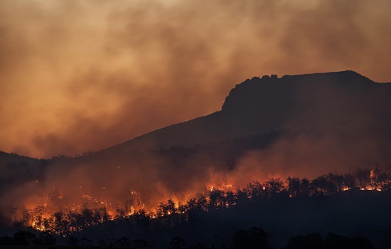Arizona Rep. Walt Blackman's Wildfire Mitigation Bills Pass Key Committee, Aim to Fortify White Mountains Region