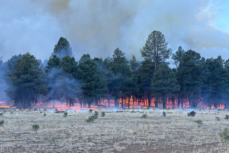 Arizona's Department of Forestry to Conduct Controlled Burns near Flagstaff and Buckeye to Mitigate Wildfire Risks