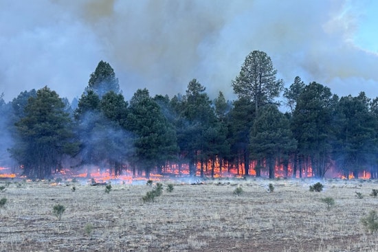 Arizona's Department of Forestry to Conduct Controlled Burns near Flagstaff and Buckeye to Mitigate Wildfire Risks