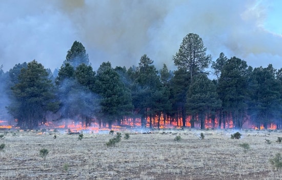 Arizona's Department of Forestry to Conduct Controlled Burns near Flagstaff and Buckeye to Mitigate Wildfire Risks