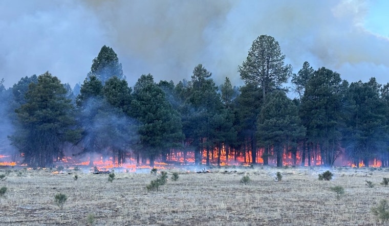 Arizona's Department of Forestry to Conduct Controlled Burns near Flagstaff and Buckeye to Mitigate Wildfire Risks