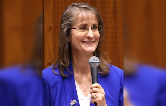 Arizona State Representative Lisa Fink Advocates for State Sovereignty with New Legislative Package