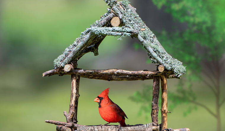 Arlington Launches Free Gardening and Water Conservation Workshops Ahead of Spring Season