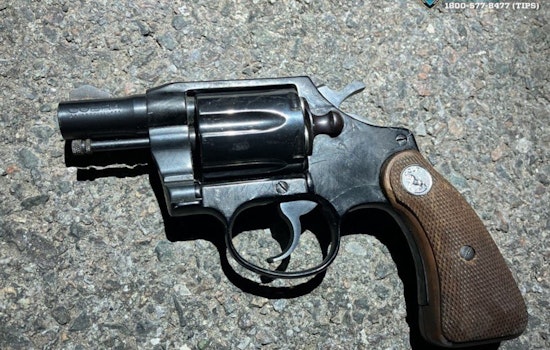 Armed 79-Year-Old Man Fatally Shot by NYPD Outside Queens Precinct, Mental Health Crisis Suspected