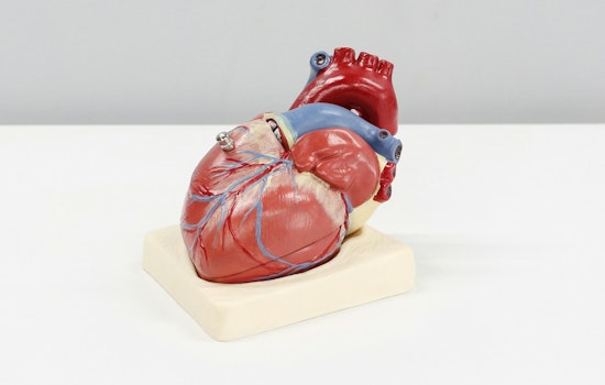 Austin Public Health Allies with EMS to Combat Heart Disease, Launches Innovative Care for Homeless Population