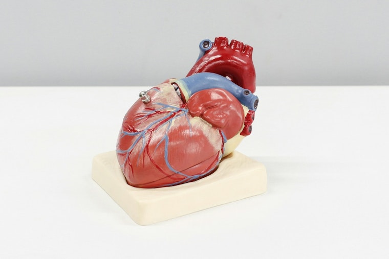 Austin Public Health and ATCEMS Champion Heart Disease Awareness During American Heart Month