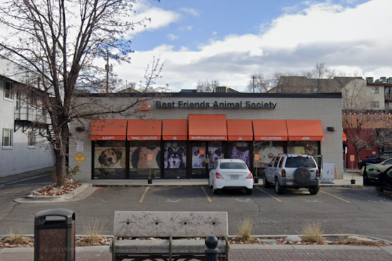 Best Friends Animal Society in Salt Lake City Offers "Best Blind Date Ever" with Valentine's Day Pet Foster Program