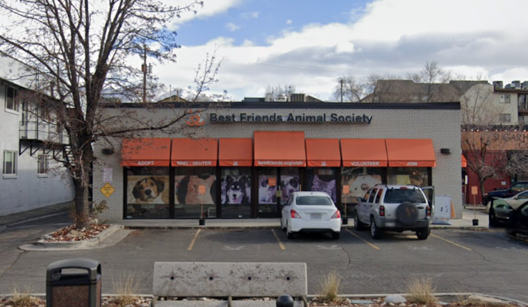 Best Friends Animal Society in Salt Lake City Offers "Best Blind Date Ever" with Valentine's Day Pet Foster Program