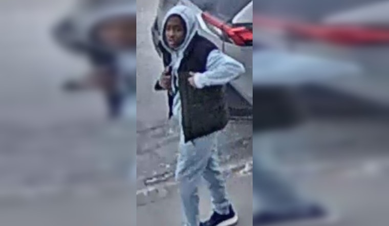 Boston Police Seek Assistance to Identify Suspect in Roxbury Carjacking Attempt