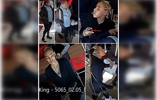 Boston Police Seek Public's Assistance in Identifying Suspects in Dorchester Tasing Incident