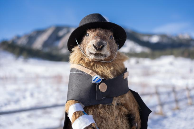 Boulder's Flatiron Freddy Predicts Extended Winter, Minor Slip Spotlights Rocky Mountain Rescue Team's Vital Role
