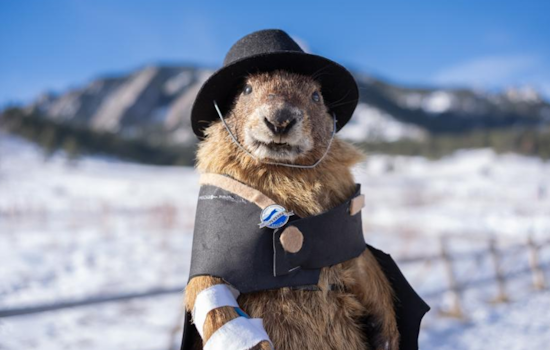 Boulder's Flatiron Freddy Predicts Extended Winter, Minor Slip Spotlights Rocky Mountain Rescue Team's Vital Role