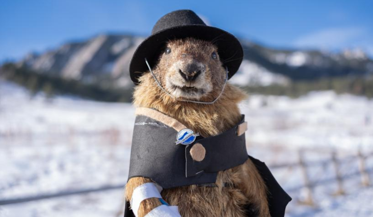 Boulder's Flatiron Freddy Predicts Extended Winter, Minor Slip Spotlights Rocky Mountain Rescue Team's Vital Role