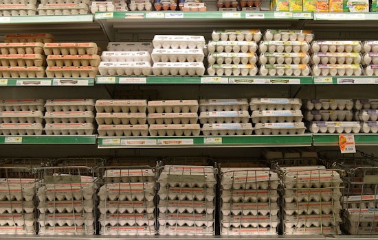 Bronx Bodega Innovates with Trio Egg Sales Amid Soaring Prices Fueled by Avian Flu Outbreak