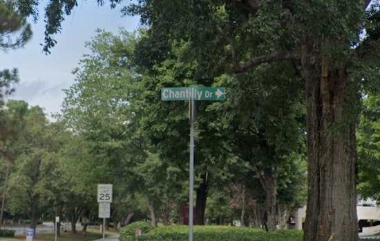 Brookhaven Police Chase Ends in Arrest of Car Break-In Suspect with Concealed Weapon