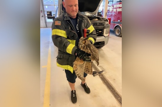 Brownsburg Firefighters Lauded for Rescuing Injured Owl from Truck Grill on I-74