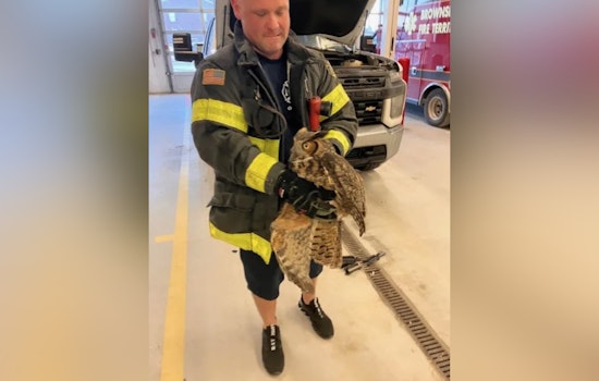 Brownsburg Firefighters Lauded for Rescuing Injured Owl from Truck Grill on I-74
