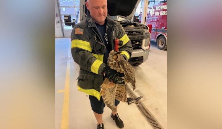 Brownsburg Firefighters Lauded for Rescuing Injured Owl from Truck Grill on I-74