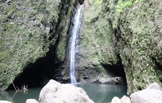 California Couple Airlifted to Safety by Honolulu Fire Department After Injuries on Sacred Falls Trail