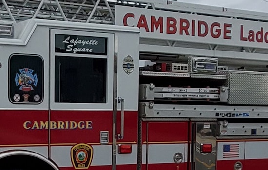 Cambridge Firefighters Execute Daring Rescue of Woman from Icy Charles River Waters