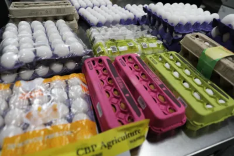 CBP Enforces Fines for Raw Egg Smuggling as Seizures Surge 158% in San Diego Amid Bird Flu Crisis
