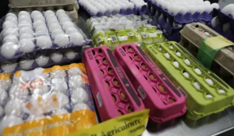 CBP Enforces Fines for Raw Egg Smuggling as Seizures Surge 158% in San Diego Amid Bird Flu Crisis