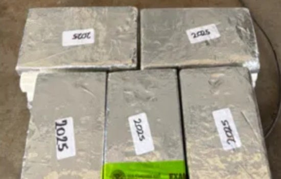 CBP Officers at Pharr International Bridge Intercept $1M Cocaine Shipment; Mexican National Apprehended