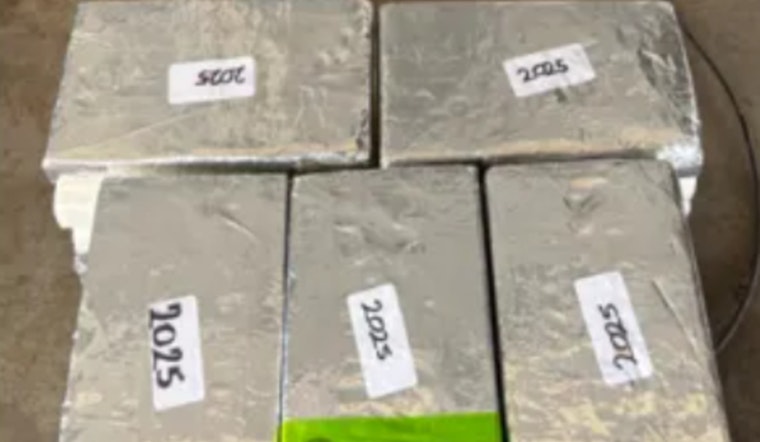 CBP Officers at Pharr International Bridge Intercept $1M Cocaine Shipment; Mexican National Apprehended