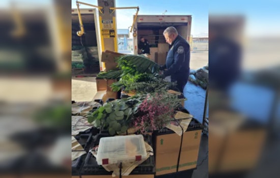 CBP Steps Up for Valentine's Day: Warnings Issued for Floral Imports at U.S. Borders