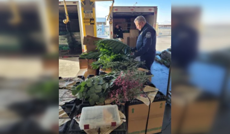 CBP Steps Up for Valentine's Day: Warnings Issued for Floral Imports at U.S. Borders
