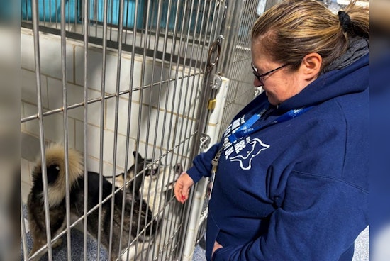 Charlotte's CMPD Animal Care & Control Introduces Specialist Role to Reunite Lost Pets with Owners