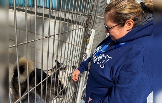 Charlotte's CMPD Animal Care & Control Introduces Specialist Role to Reunite Lost Pets with Owners