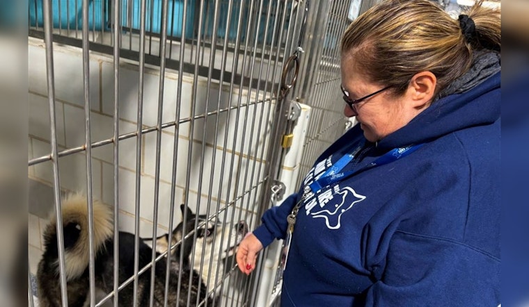 Charlotte's CMPD Animal Care & Control Introduces Specialist Role to Reunite Lost Pets with Owners