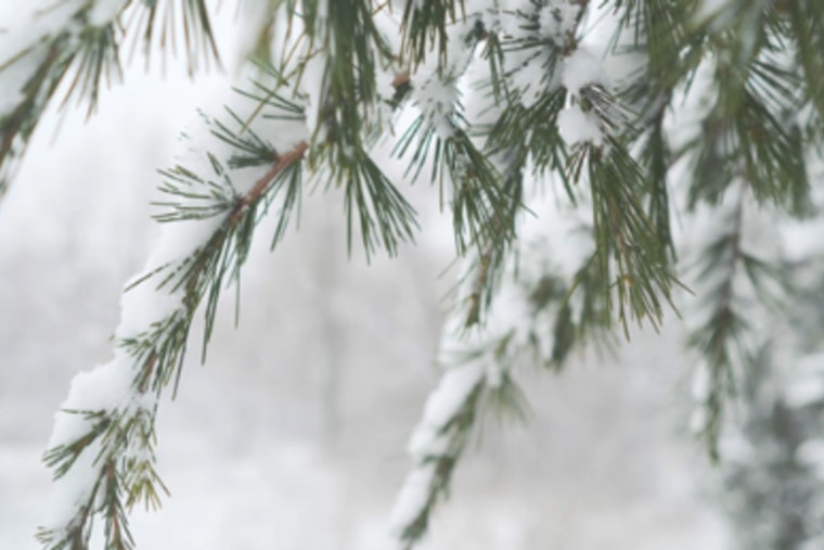 Chatham County Offices to Open at 10:00 a.m. Friday Due to Winter Weather Conditions