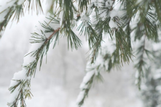 Chatham County Offices to Open at 10:00 a.m. Friday Due to Winter Weather Conditions